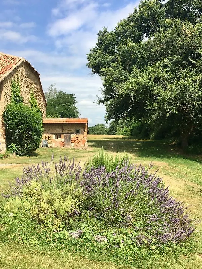 La Bordeneuve Bed & Breakfast Donzac