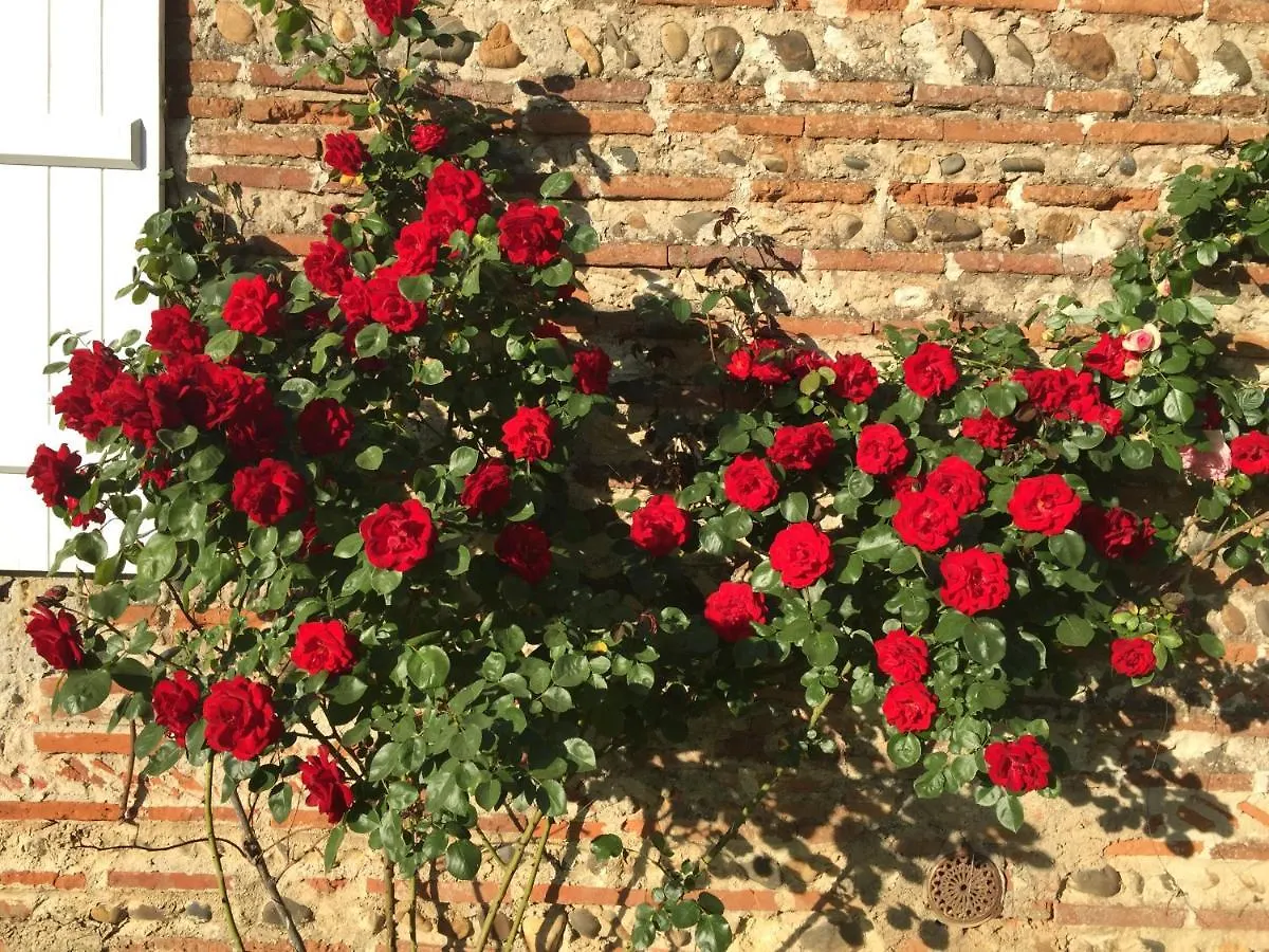 La Bordeneuve Bed & Breakfast Donzac  0*, Donzac (Tarn-et-Garonne) France