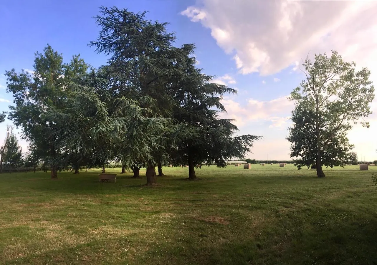 La Bordeneuve Bed & Breakfast Donzac  France